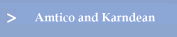 Amtico and Karndean